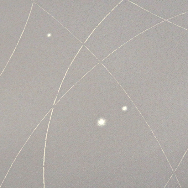 一富司 小紋 正絹 蛍ぼかし 線 グレー[198,000円] 枚目